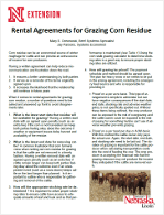Thumbnail image of Rental Agreements for Corn Residue Grazing PDF